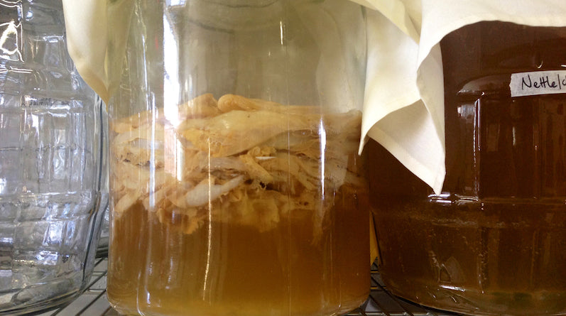 4 Ways to Use Kombucha